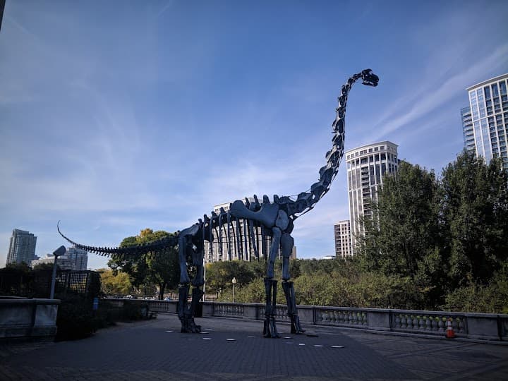 Field Museum portfolio 3