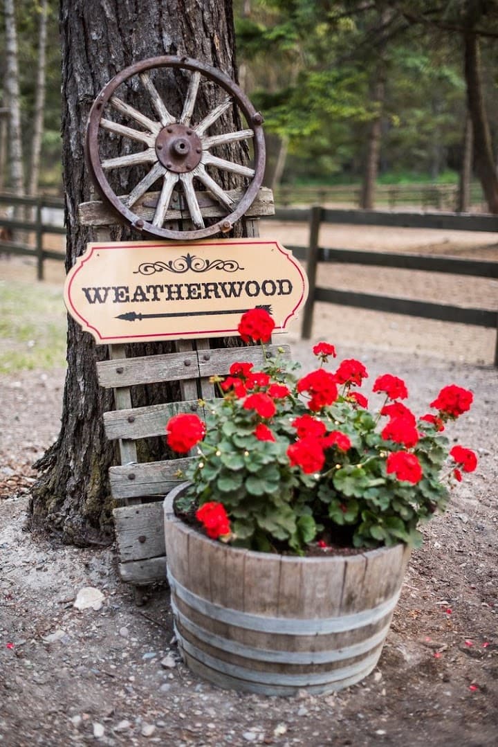 Weatherwood Homestead portfolio 4