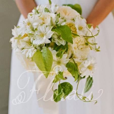 Florali portfolio 2