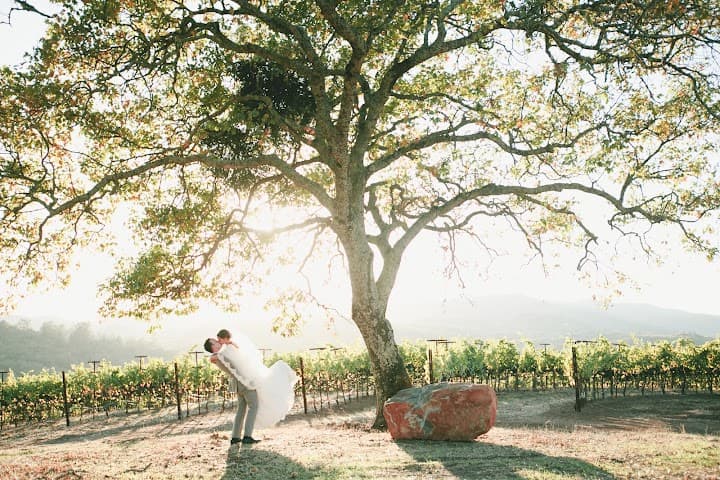 Little Blue Box Weddings