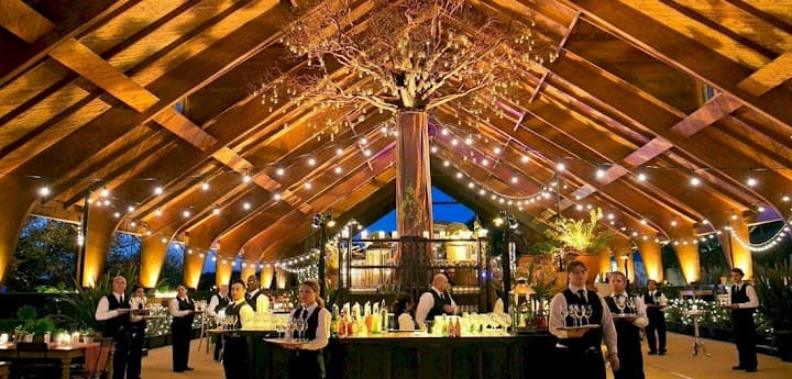 Mandy Scott Events