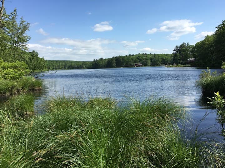 Camp Canadensis portfolio 5