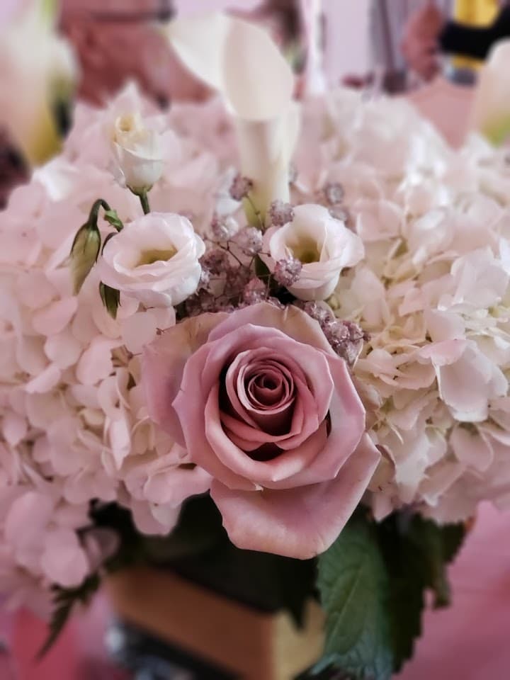 Flowers by Emil portfolio 1