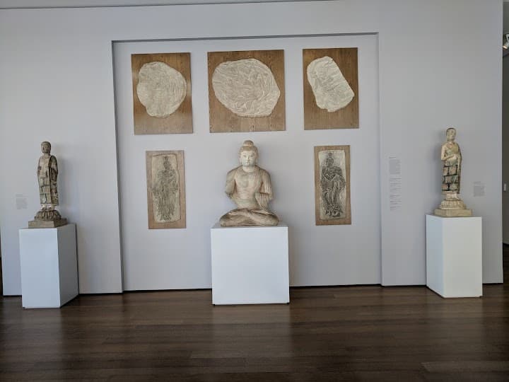 Harvard Art Museums portfolio 1