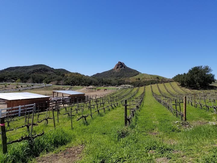 Saddlerock Ranch portfolio 3