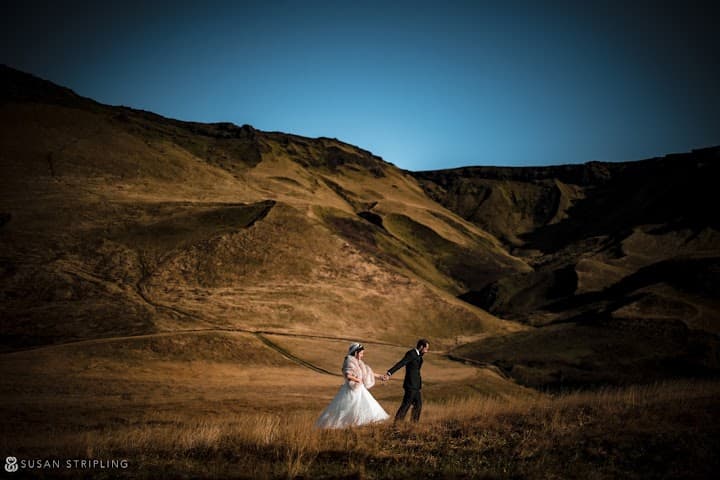Susan Stripling Photography