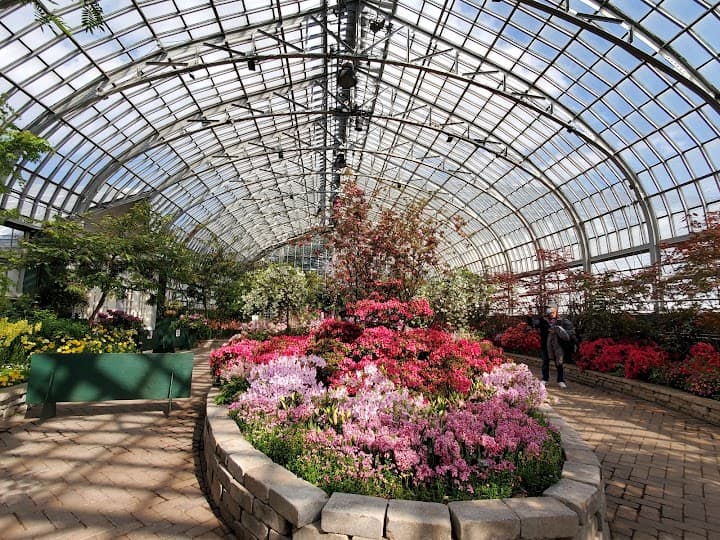 Garfield Park Conservatory portfolio 5