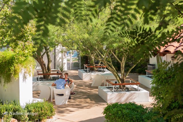 Alcazar Palm Springs portfolio 5