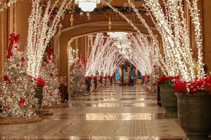 The Roosevelt New Orleans, A Waldorf Astoria Hotel portfolio 5