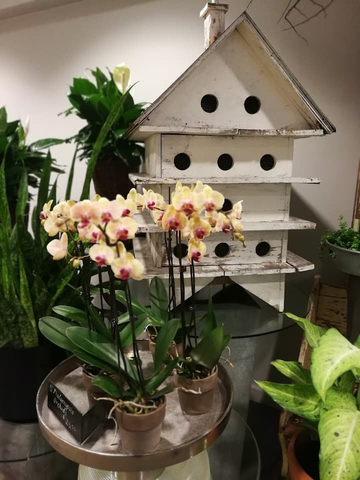 The Flower Studio portfolio 5