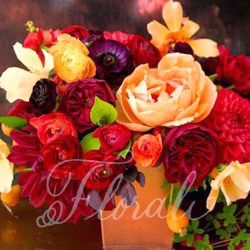 Florali portfolio 3