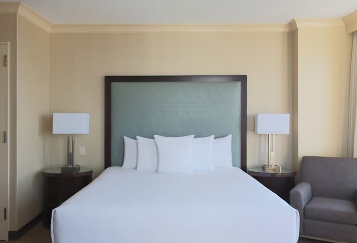 Grand Hyatt Atlanta In Buckhead portfolio 1