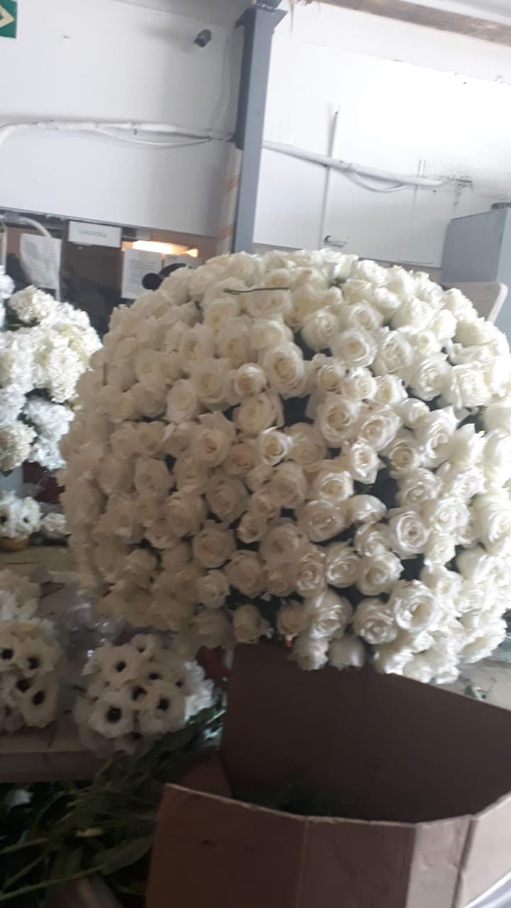 Eventos Euforia portfolio 1