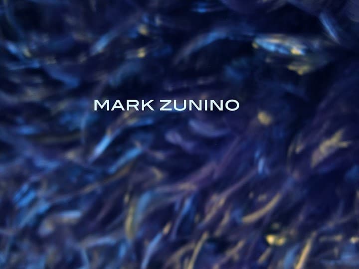 Mark Zunino portfolio 1