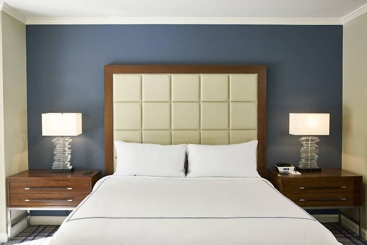 The Adolphus portfolio 5