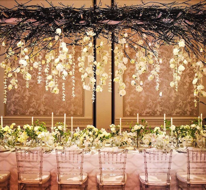 Janie Haas Events