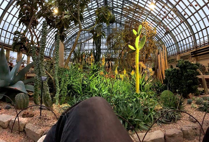 Garfield Park Conservatory portfolio 2