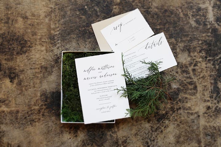 Tasha Rae Designs portfolio 5