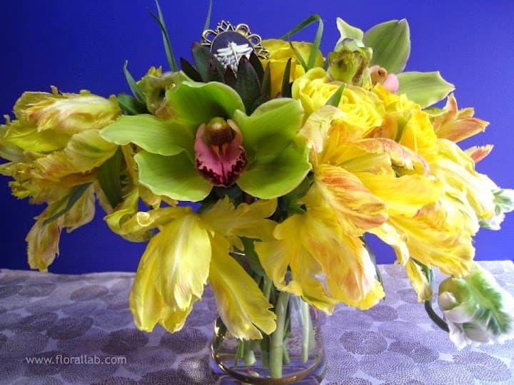 Floral Lab portfolio 1