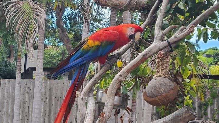 Santa Barbara Zoo portfolio 5
