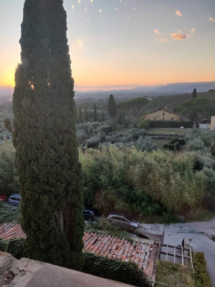 Villa Rospigliosi portfolio 2