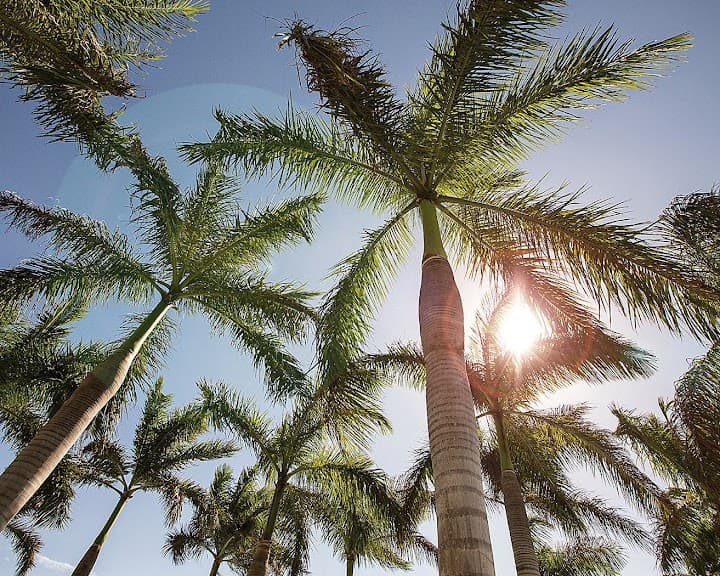 Four Seasons Hotel Miami portfolio 4