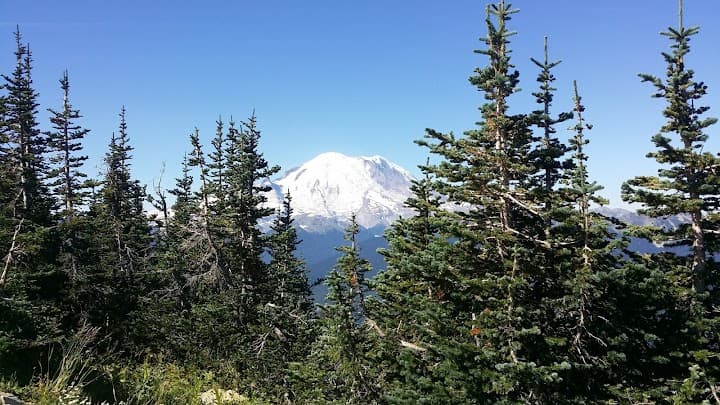 Crystal Mountain portfolio 4