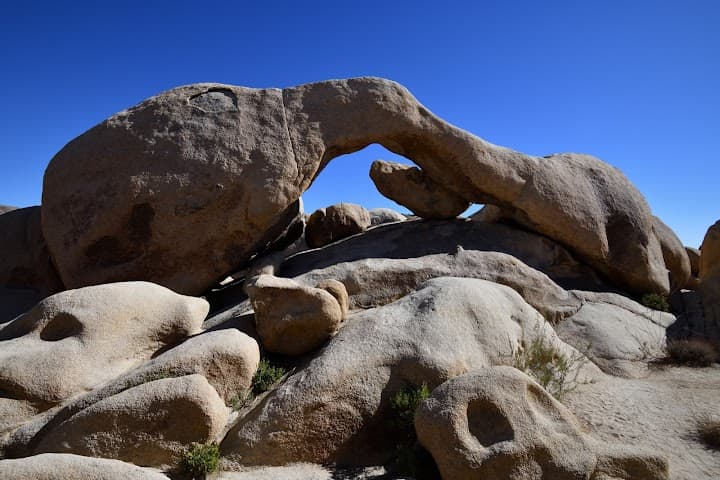 Joshua Tree National Park portfolio 4