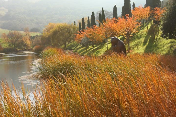 McEvoy Ranch portfolio 1