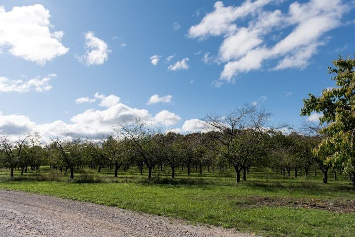Bay View Weddings at Gallagher Farms portfolio 5