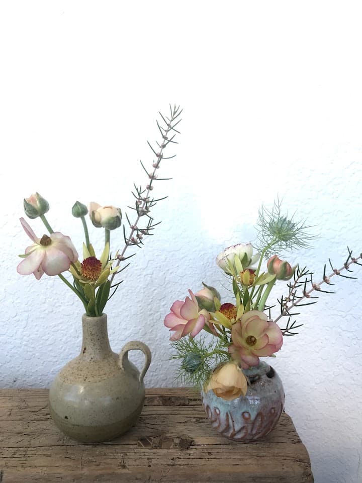 Willi Wildflower portfolio 5