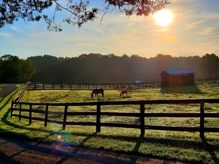 Wolftrap Farm portfolio 2
