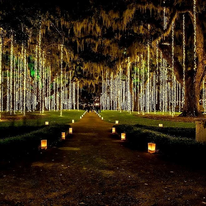 Brookgreen Gardens portfolio 5