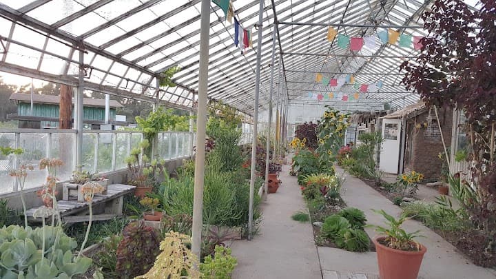 Dos Pueblos Orchid Farm portfolio 1