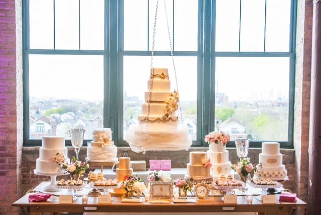 Elysia Root Cakes portfolio 5