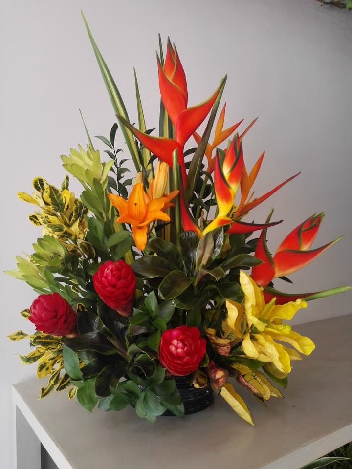 Viva Flor portfolio 2
