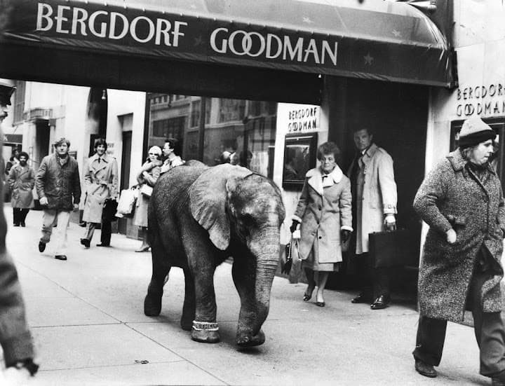 Bergdorf Goodman