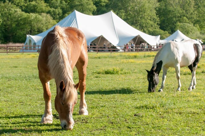Hidden River Events portfolio 2