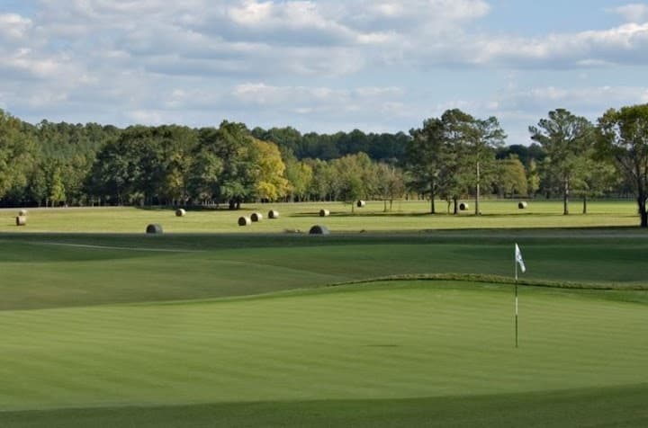 Pursell Farms portfolio 4