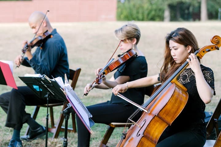 Terra Vista Strings portfolio 4