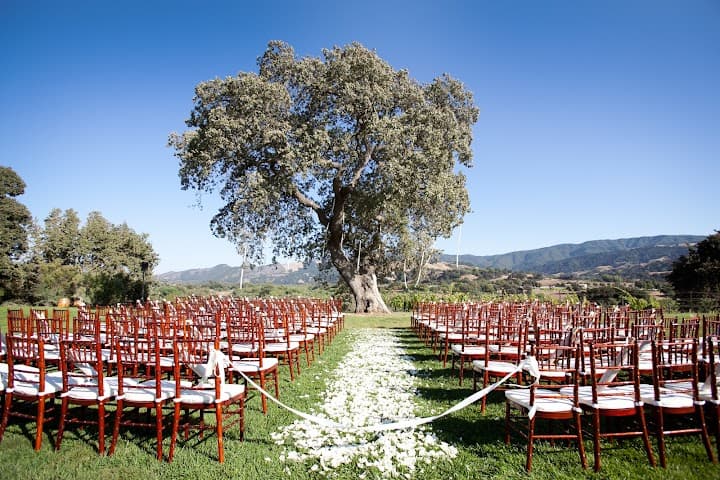 Natalie Sofer Weddings and Events portfolio 5