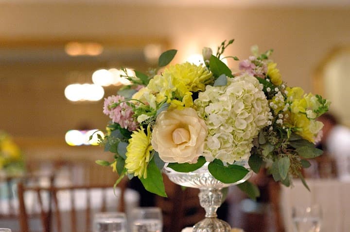 Wedding Savvy, Inc. portfolio 4