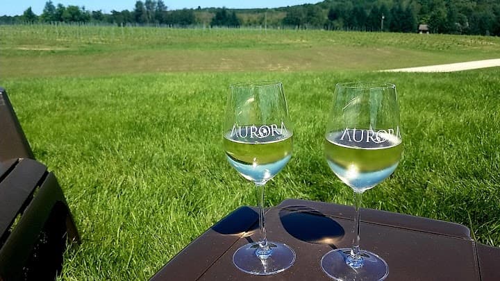 Aurora Cellars portfolio 1