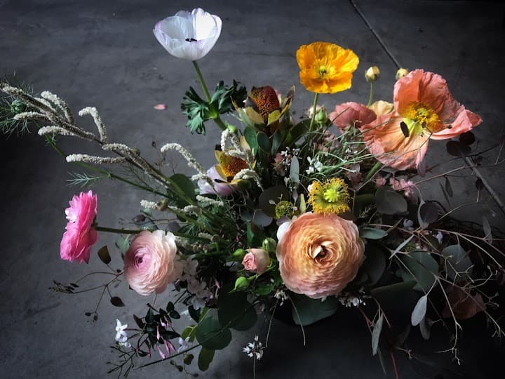 Willi Wildflower portfolio 2