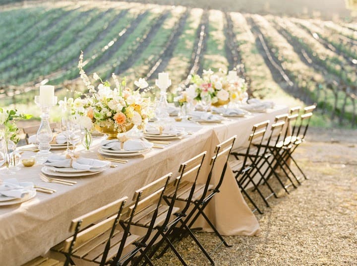HammerSky Vineyards portfolio 2