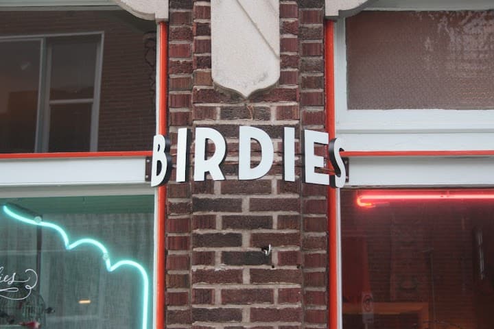 Birdies portfolio 4