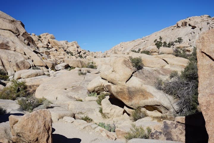 Joshua Tree National Park portfolio 5