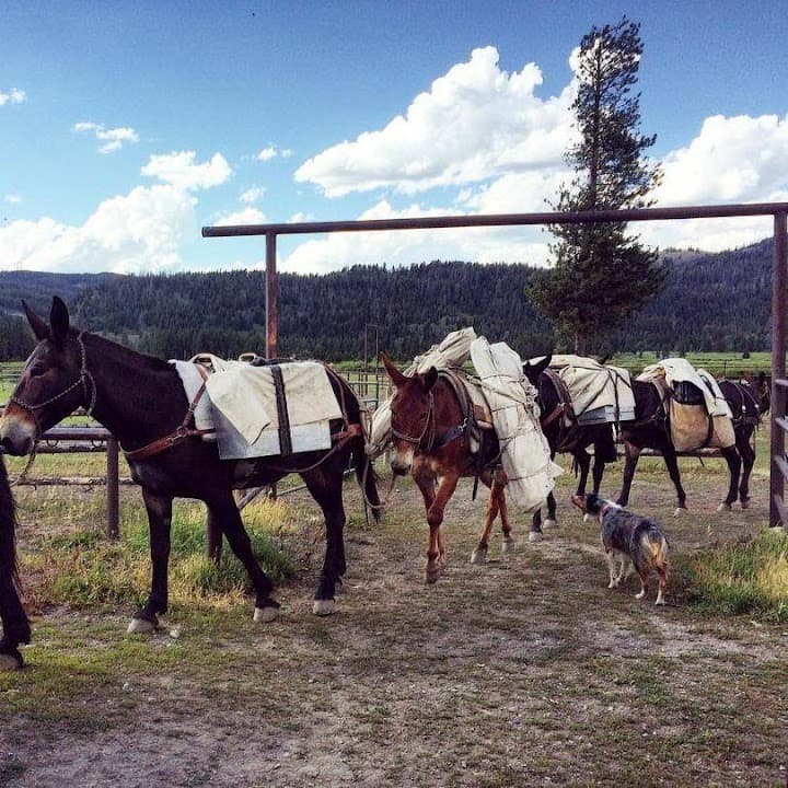 Turpin Meadow Ranch portfolio 4