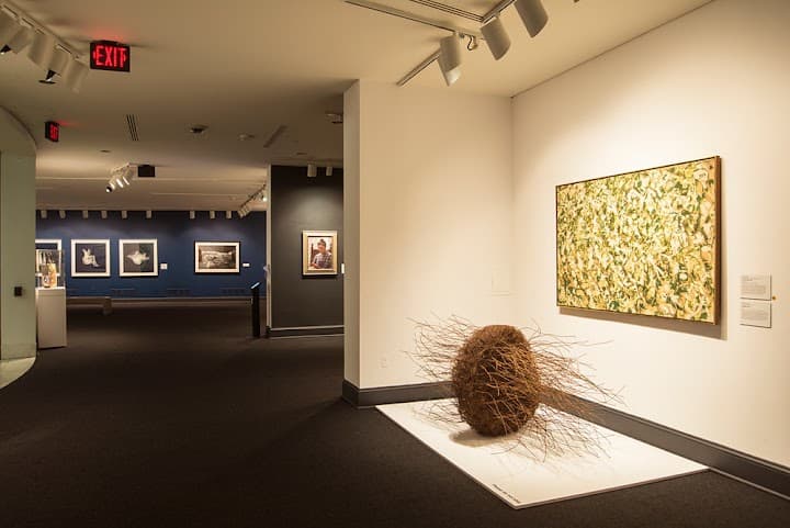 National Museum of Women in the Arts portfolio 3