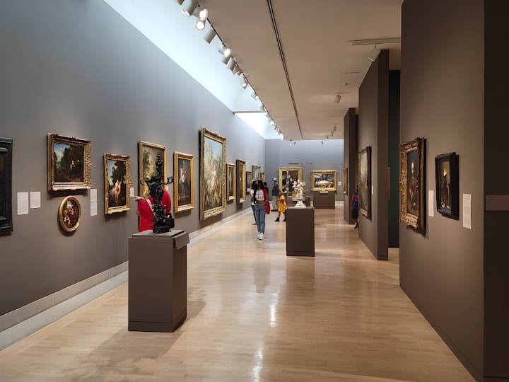 Dallas Museum of Art portfolio 5